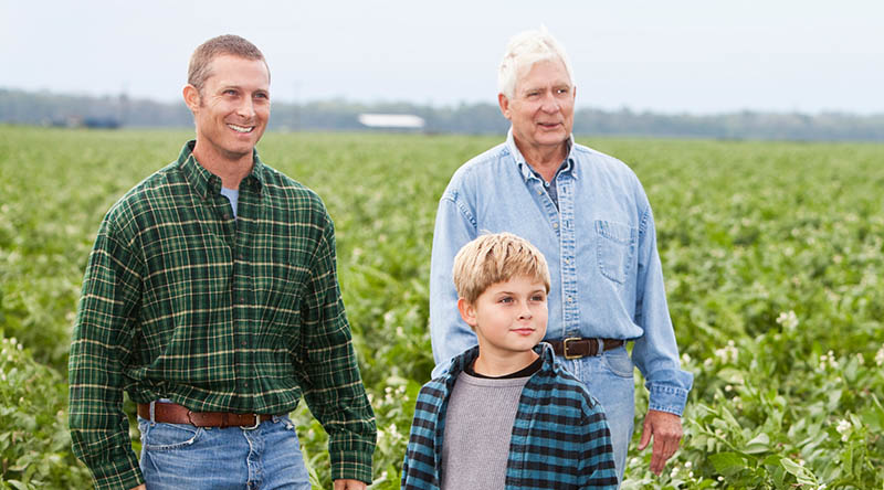 grandfather, father, and son standing together in a field
