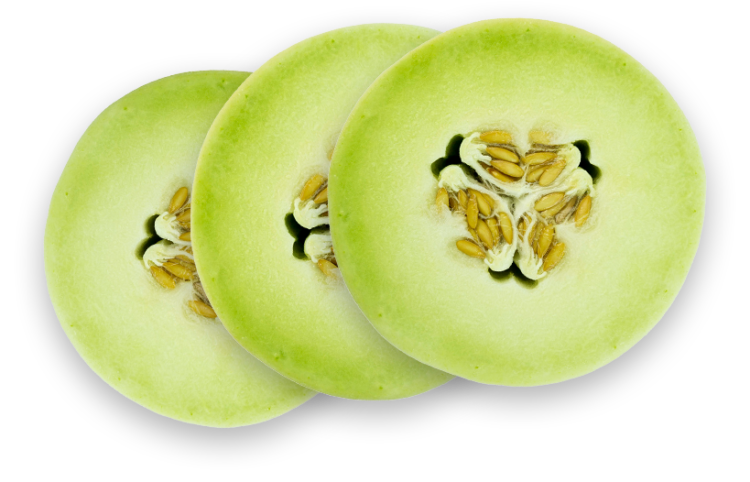 honeydew