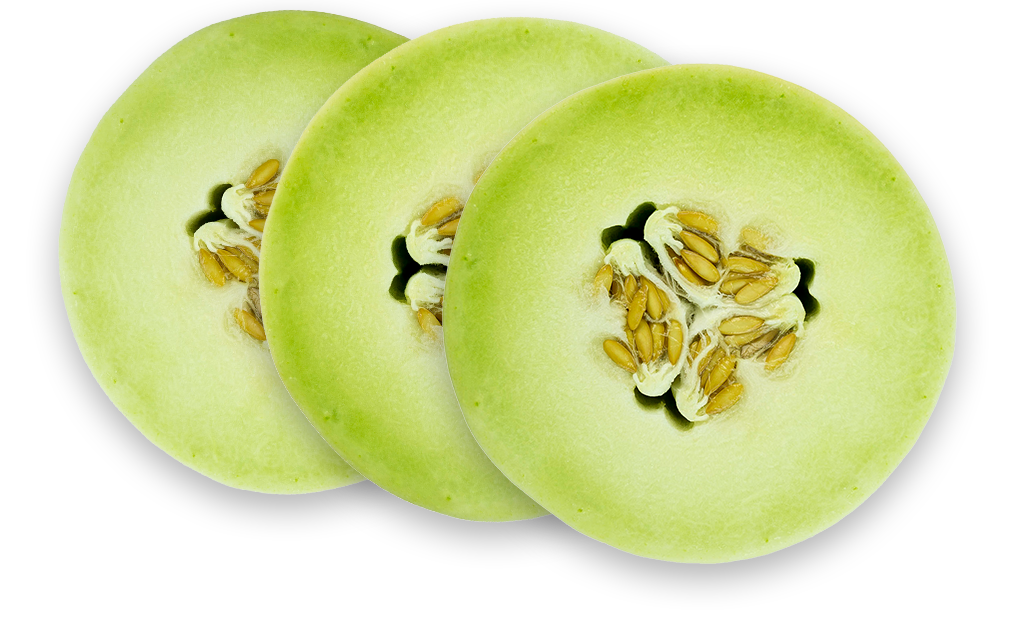 honeydew